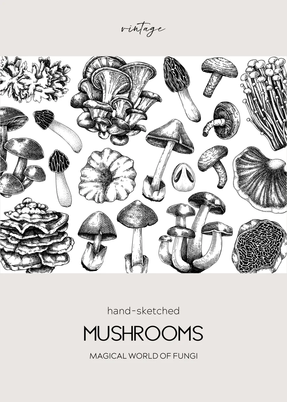 Autumn forest background. Woodland animals, fall leaves, ferns, mushrooms sketches. Fall nature backdrop. Hand-drawn vector illustration. Vintage botanical invitation or greeting card, frame design  Illustration